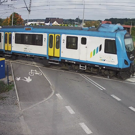 Jakie kategorie rozpoznaje AI?